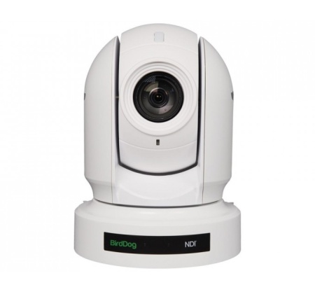 BirdDog NDI камера BirDog Eyes P200 белая