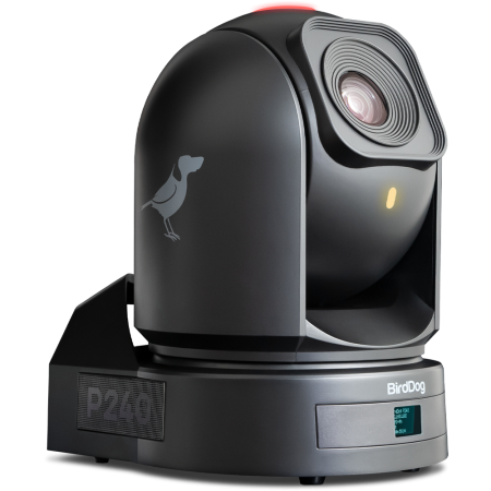 снята с производства P240 Камера NDI черная